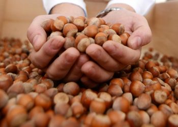 Fındık ihracatında yükü Trabzon sırtladı