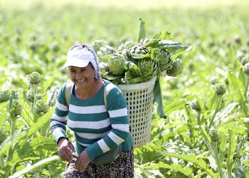 Doğu Karadeniz’in kalkınmasına 1 milyar liralık destek