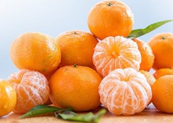 Meyve ihracatının şampiyonu mandalina