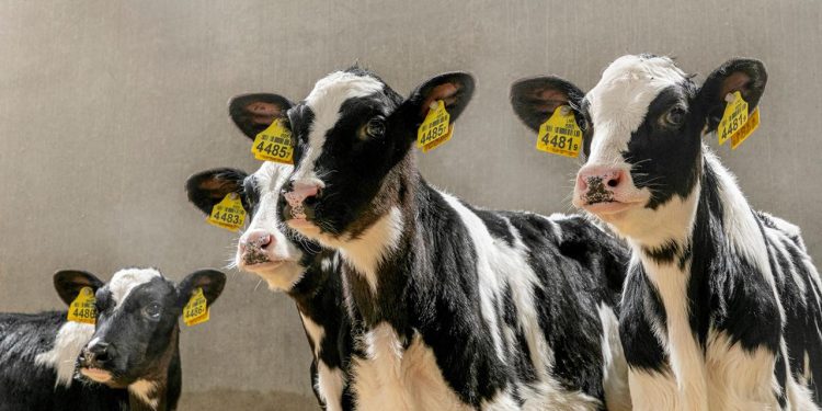 Depremden etkilenen çiftçiler devletten ne bekliyor?