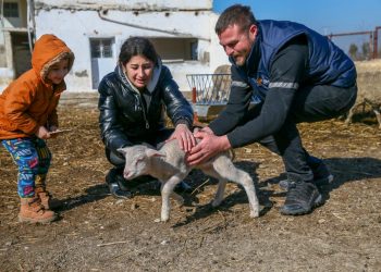 Hayvancılıkta depremzedelere “telafi desteği” geliyor