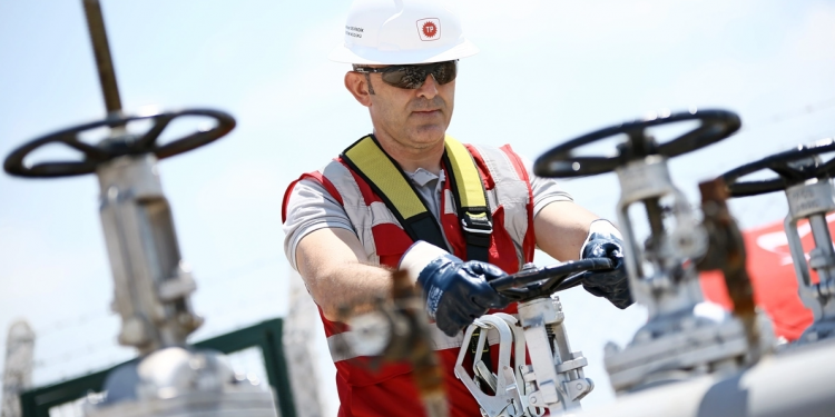 TPAO, kendi sahalarından elektrik üretebilecek