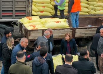 Arpa ve buğday için üreticiye gübre desteği