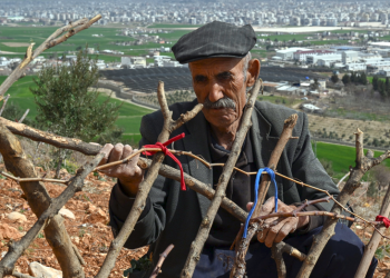 Depremin tarıma maliyeti 24 milyar dolardan fazla