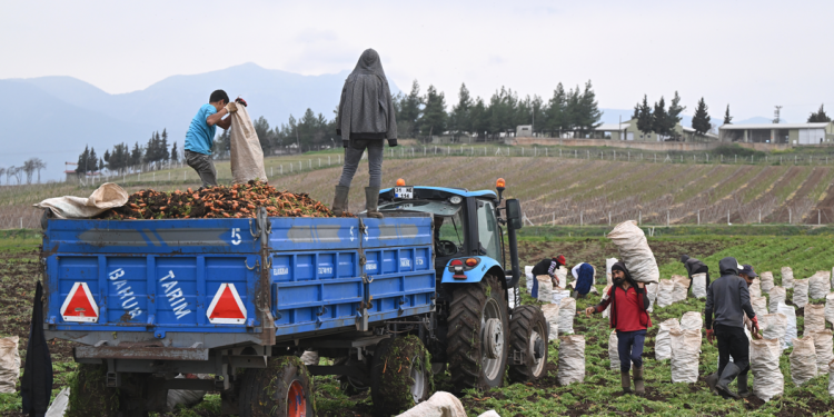 Ziraat, bölgenin kalkınmasında ekonomik öncelikleri devreye aldı
