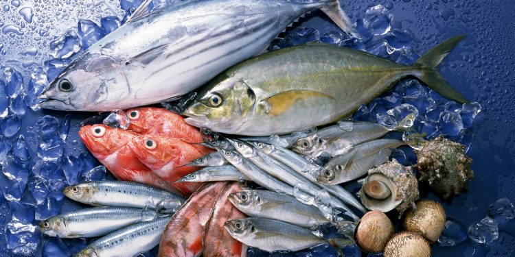 Su ürünleri ve hayvansal mamullerden 2026 için 5 milyar dolarlık hedef