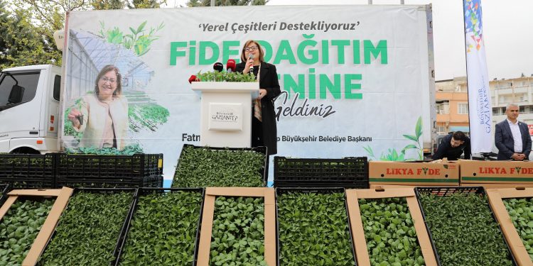 Gaziantep’te çiftçilere 2 milyon fide dağıtıldı