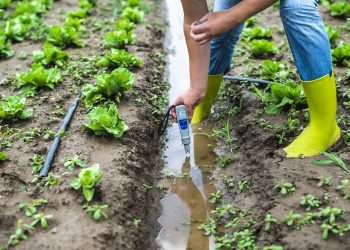 Tarımsal sulamada modern sistemler devreye giriyor