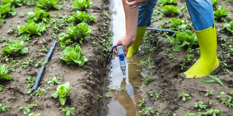 Tarımsal sulamada modern sistemler devreye giriyor
