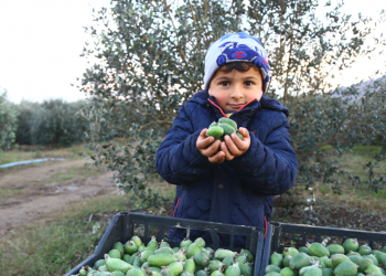 Türkiye-Azerbaycan ticareti 5 milyar dolara ulaşacak