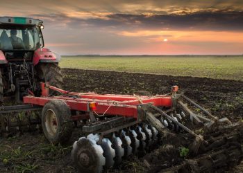 Tarım sektörü ihracatta aylık rekorları sürdürüyor
