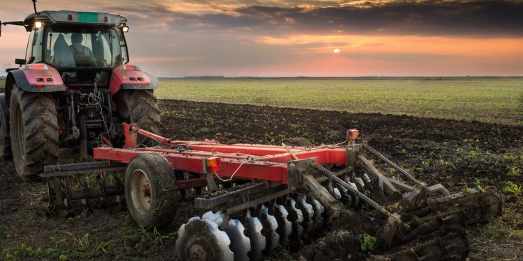 Tarım sektörü ihracatta aylık rekorları sürdürüyor