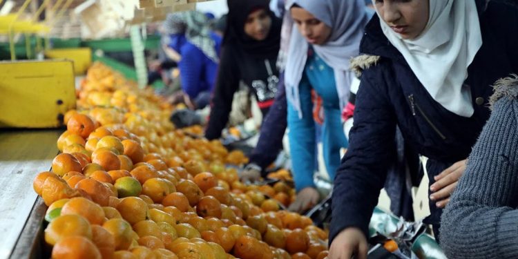 Yaş meyve-sebzede ihracat yeni rekor getirir mi?