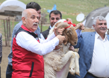 Köy evlerinin bir yılda teslimini sağlayacağız