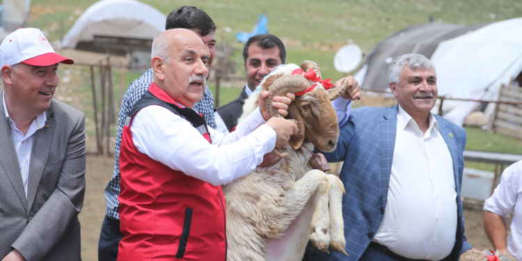 Köy evlerinin bir yılda teslimini sağlayacağız