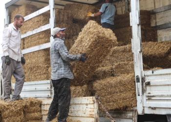 Yem üreticilerinin gümrük vergisi düşsün çağrısı