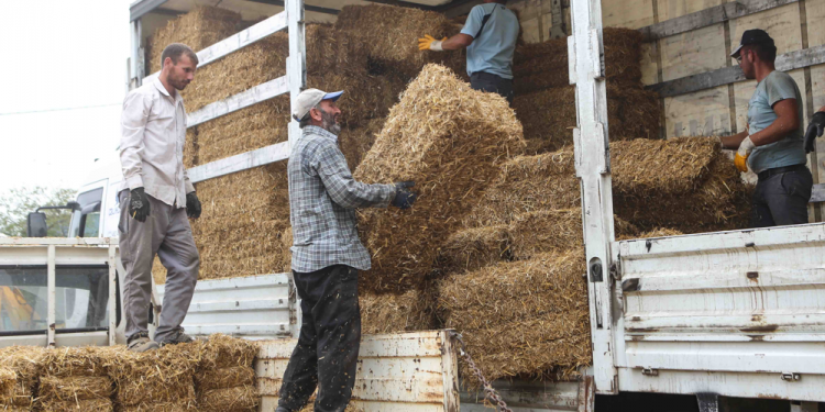 Yem üreticilerinin gümrük vergisi düşsün çağrısı