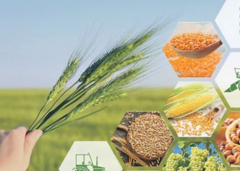 Tarımda var olabilmenin ilk adımı tohumculuk