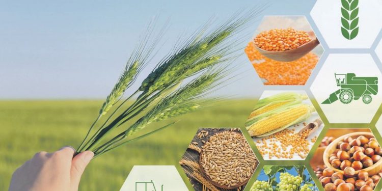 Tarımda var olabilmenin ilk adımı tohumculuk