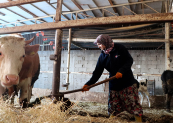 Hayvancılığı canlı tutacak adımlar atılmalı