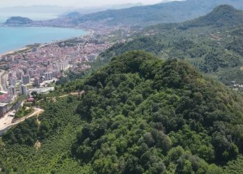 Millet Ormanı Projesi tüm hızıyla sürüyor