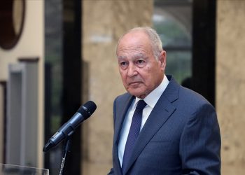 Arap Birliği, Tahıl Koridoru için Ukrayna ile temasta