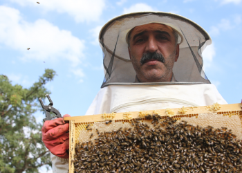 Bingöl balı tescili pazarını genişletecek