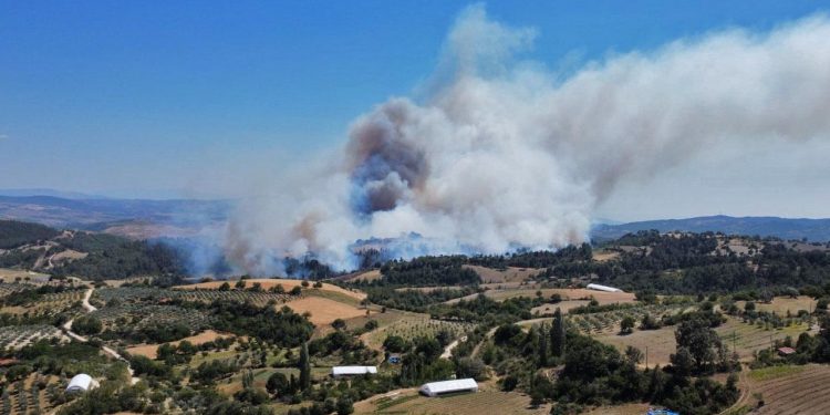 Kuzey bölgeler de orman yangınları için riskli