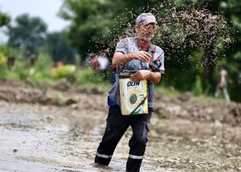 Ata tohumuyla verimi daha da artırılacak