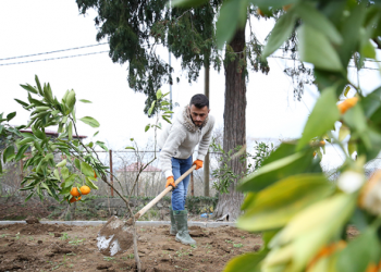 Bitkisel üretim ve sulama 2044’ün önceliği arasında