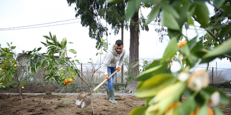 Bitkisel üretim ve sulama 2044’ün önceliği arasında