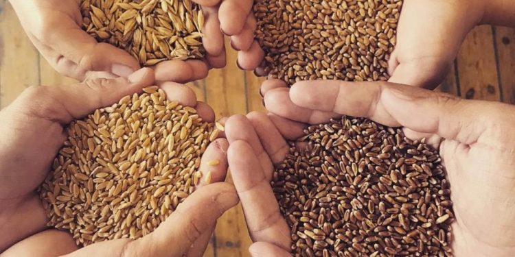 Tohumculuk büyümesini AR-GE ile artıracak