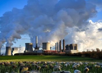 Ekonomik randıman için emisyon ayarı şart