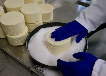 Mengen peynirinin ünü tesislerle daha da artacak