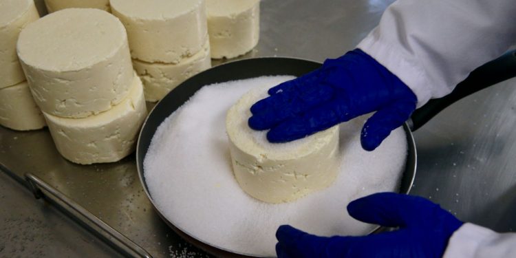 Mengen peynirinin ünü tesislerle daha da artacak