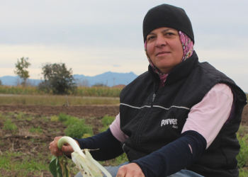 Pırasada rekolte ile birlikte iyi fiyat beklentisi