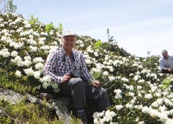 Tıbbi ve aromatik bitki ihracatı 23 yılda 5 kat arttı