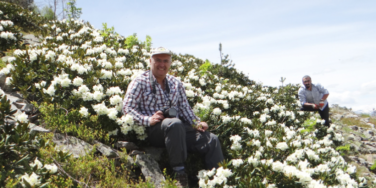 Tıbbi ve aromatik bitki ihracatı 23 yılda 5 kat arttı