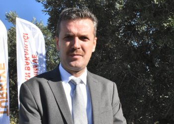 Gemlik zeytini 30 bin çiftçinin geçim kapısı