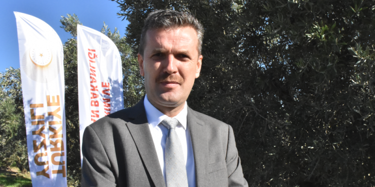 Gemlik zeytini 30 bin çiftçinin geçim kapısı