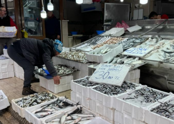 Deniz sıcaklığı düştü balık avcılığı arttı