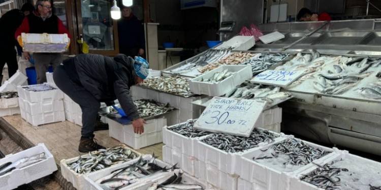 Deniz sıcaklığı düştü balık avcılığı arttı