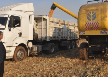 2 milyon ton mısır rekoltesi için seferberlik