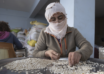 Organik kuru fasulye iç pazarı duyuruyor