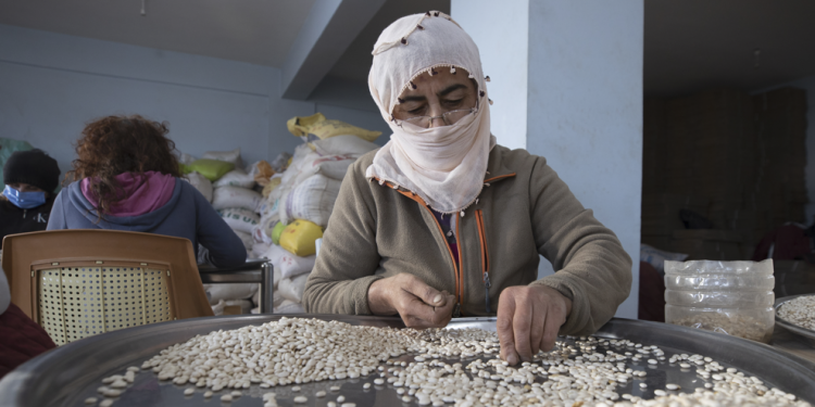 Organik kuru fasulye iç pazarı duyuruyor