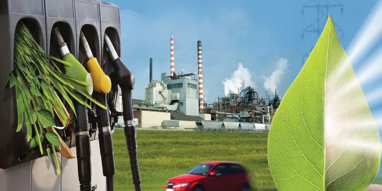 Biyoyakıttan orta vadede 1 milyon tonluk beklenti