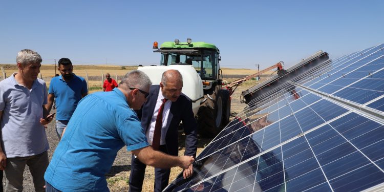 Güneş enerji santraliyle kentin enerjisi artacak