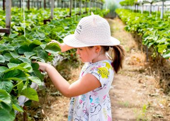 Ormanlar ve köyler ülkeye “ekoturizm” ile katkı sağlayacak