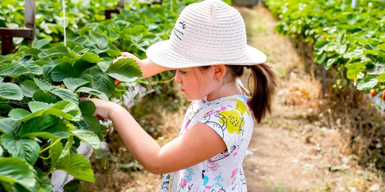 Ormanlar ve köyler ülkeye “ekoturizm” ile katkı sağlayacak