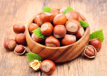 Fındık üreticilerine bahçeli eğitim hazırlığı